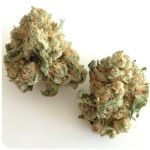 Шишки "White Widow"  (Белая вдова)  Гидропоника -  Бошка VHQ в Кизилюрте