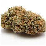 Шишки AK47 (Гидропоника, Бошка) VHQ в Кизилюрте Шишки AK47 (Гидропоника, Бошка) VHQ в Кизилюрте