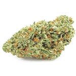 Шишки OG Kush (Гидропоника, бошки) VHQ в Кизилюрте Шишки OG Kush (Гидропоника, бошки) VHQ в Кизилюрте